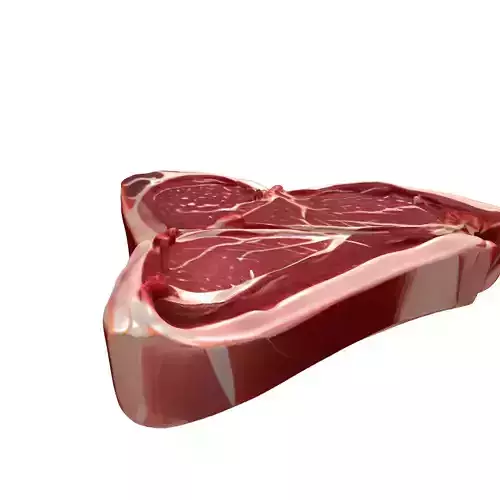Raw TBone Steak 3D Model Low-poly 3D model 7