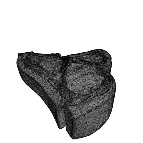 Raw TBone Steak 3D Model Low-poly 3D model 2