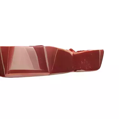 Raw TBone Steak 3D Model Low-poly 3D model 5
