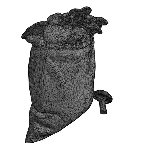 Mushrooms in Bag 3D Asset Low-poly 3D model 2