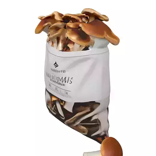 Mushrooms in Bag 3D Asset Low-poly 3D model 3
