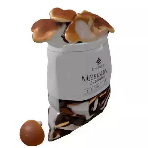 Mushrooms in Bag 3D Asset Low-poly 3D model 6