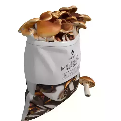 Mushrooms in Bag 3D Asset Low-poly 3D model 4