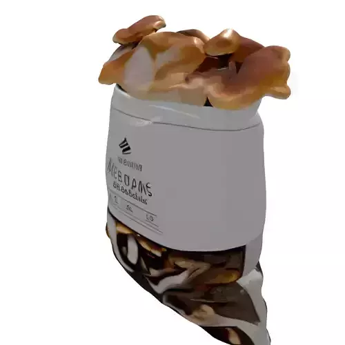 Mushrooms in Bag 3D Asset Low-poly 3D model 7