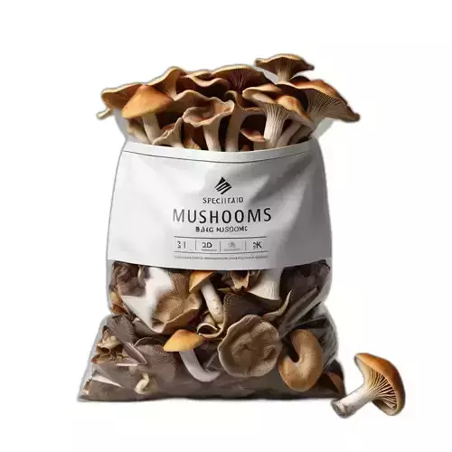 Mushrooms in Bag 3D Asset Low-poly 3D model