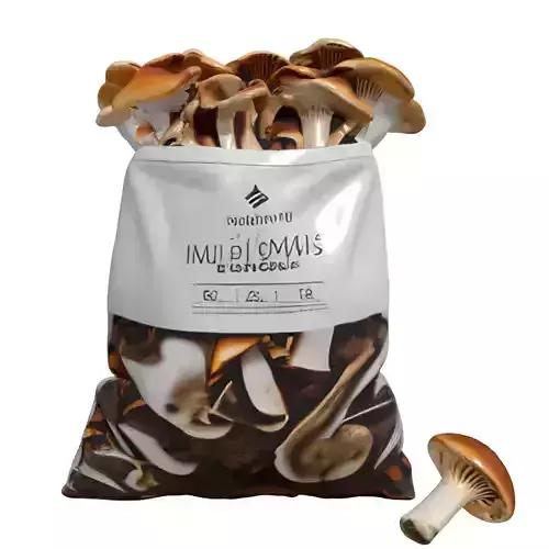 Mushrooms in Bag 3D Asset Low-poly 3D model 5