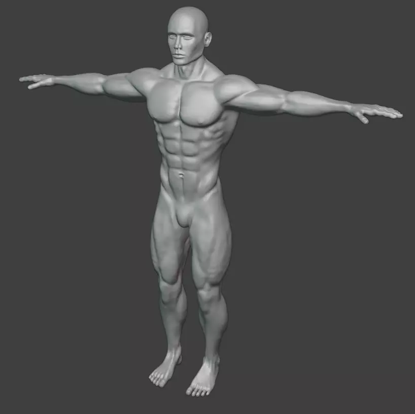 Optimized Realistic Male Basemesh Free low-poly 3D model_10