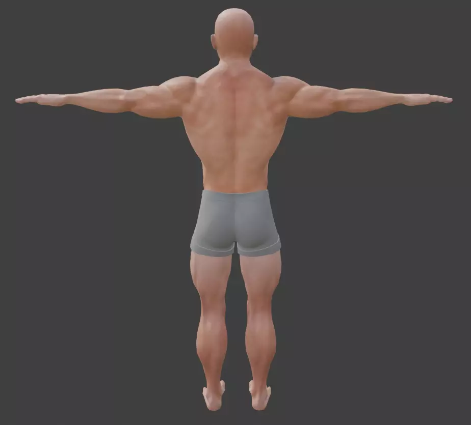 Optimized Realistic Male Basemesh Free low-poly 3D model_3