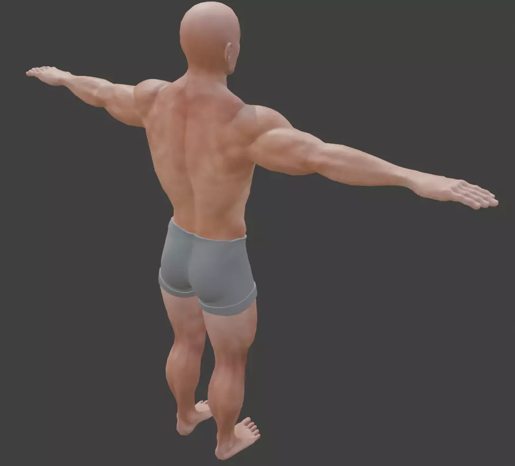 Optimized Realistic Male Basemesh Free low-poly 3D model_2