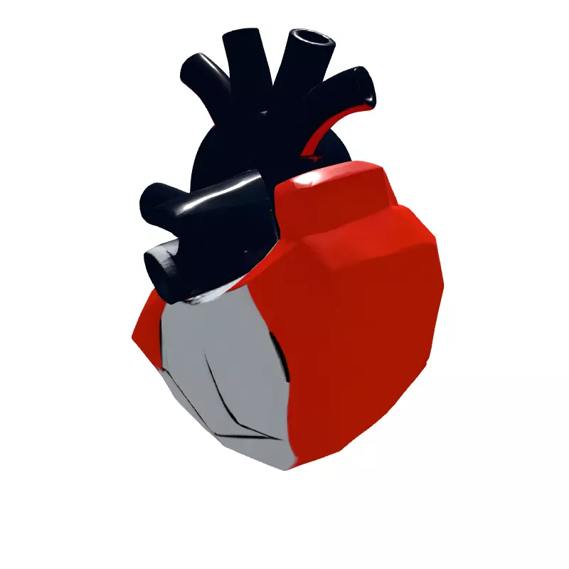 Stylized Low Poly Anatomical Heart Low-poly 3D model_6
