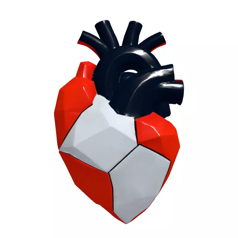 Stylized Low Poly Anatomical Heart Low-poly 3D model_4