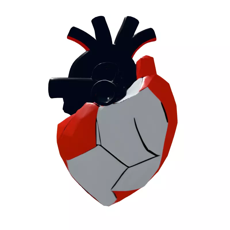 Stylized Low Poly Anatomical Heart Low-poly 3D model_7