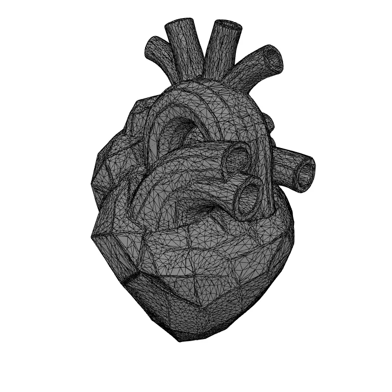 Stylized Low Poly Anatomical Heart Low-poly 3D model_9