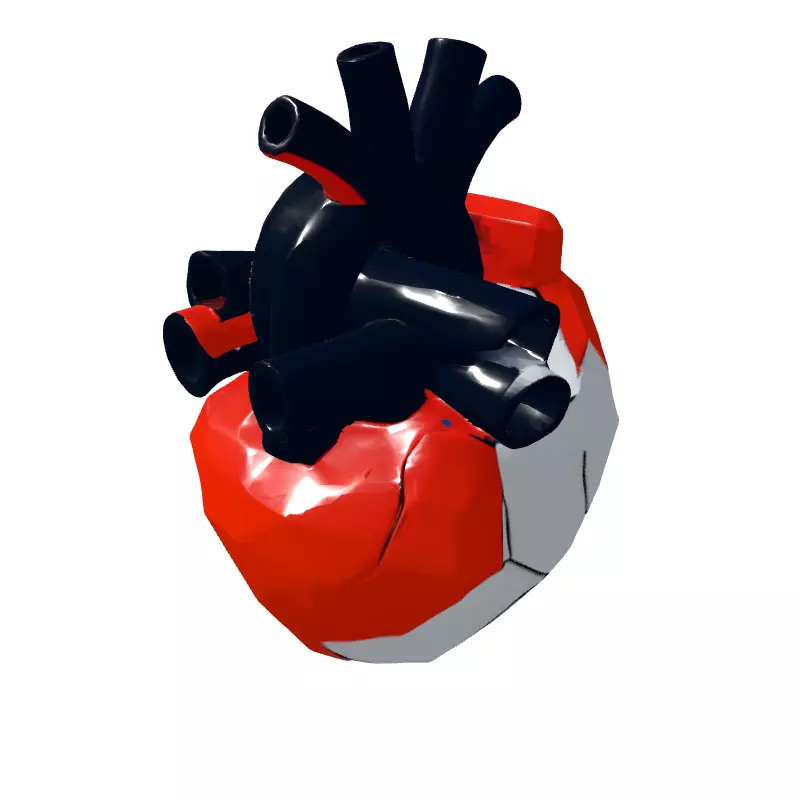 Stylized Low Poly Anatomical Heart Low-poly 3D model_5