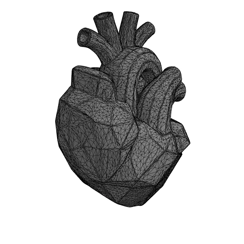 Stylized Low Poly Anatomical Heart Low-poly 3D model_1