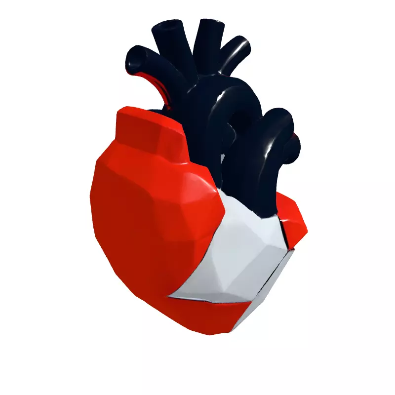 Stylized Low Poly Anatomical Heart Low-poly 3D model_3