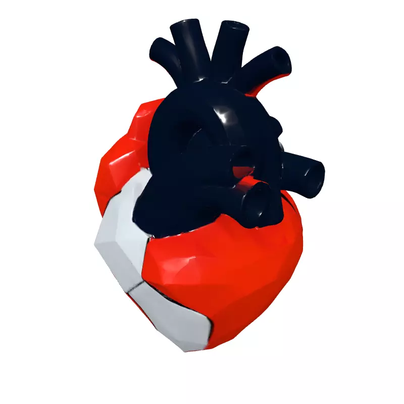Stylized Low Poly Anatomical Heart Low-poly 3D model_2