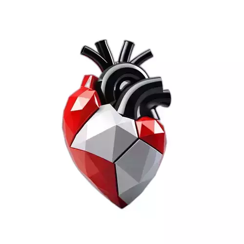 Stylized Low Poly Anatomical Heart Low-poly 3D model