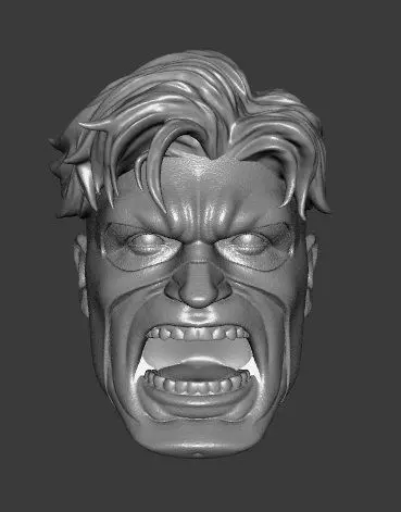 DC WILDCATS SPARTAN EXPRESSIONS 3-PACK HEADSCULPT 3D print model_7