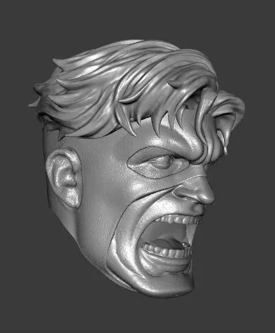 DC WILDCATS SPARTAN EXPRESSIONS 3-PACK HEADSCULPT 3D print model_8