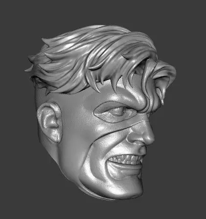 DC WILDCATS SPARTAN EXPRESSIONS 3-PACK HEADSCULPT 3D print model_5