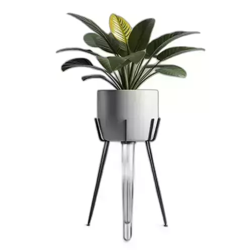 Modern Potted Houseplant with Metal Stand