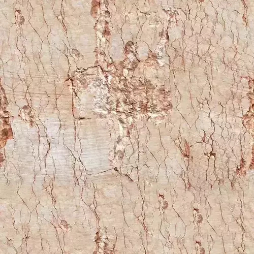 Cracked Beige Plaster Texture 