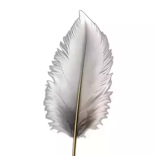 Realistic White Feather 3D Model Low-poly 3D model