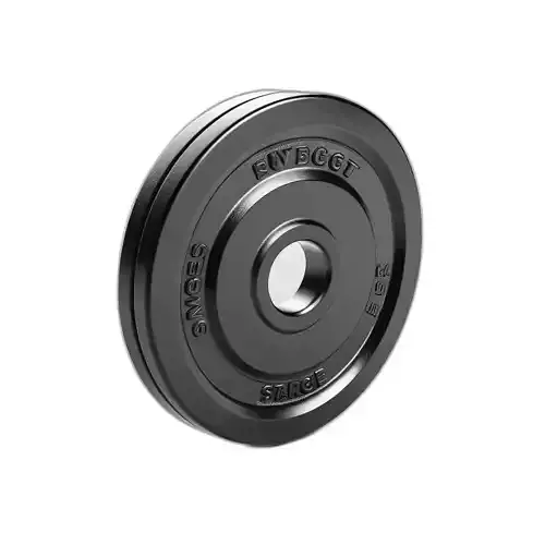 Realistic Gym Weight Plate 3D Model Low-poly 3D model