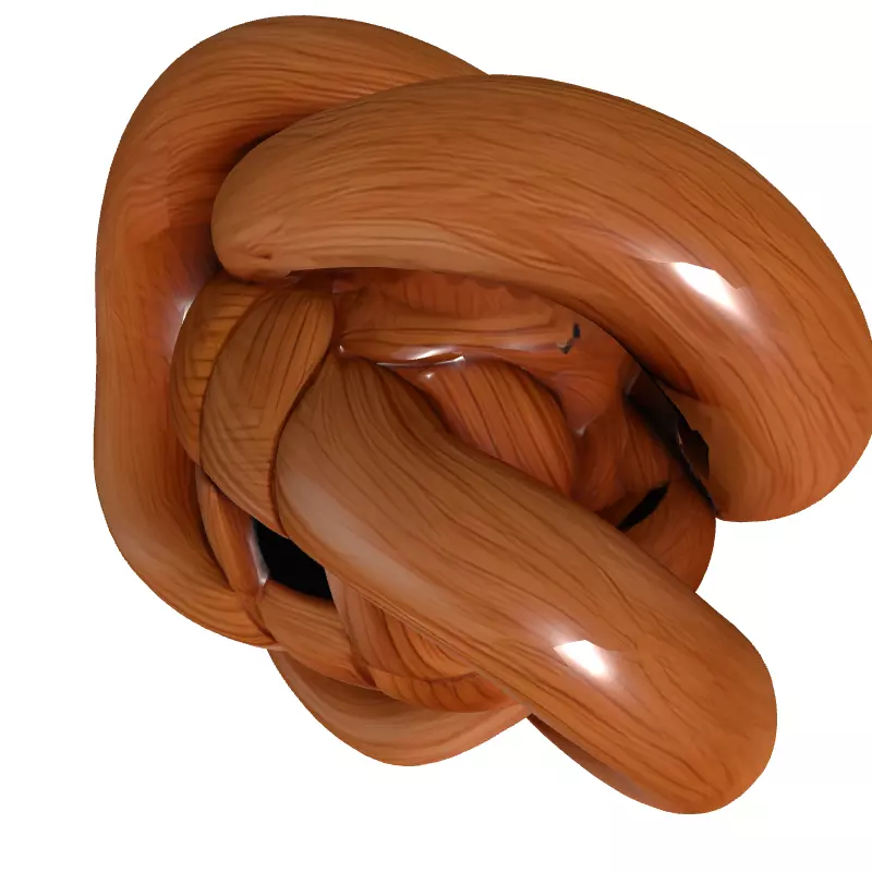 Wooden Interlocking Knot Abstract Sculpture Low-poly 3D model_8
