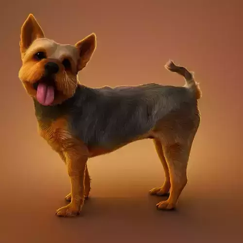 Yorkshire Terrier 3D Model Realistic Dog FBX y OBJ