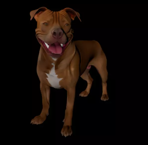 Pitbull 3D Model High Quality Realistic Dog 3D model_1