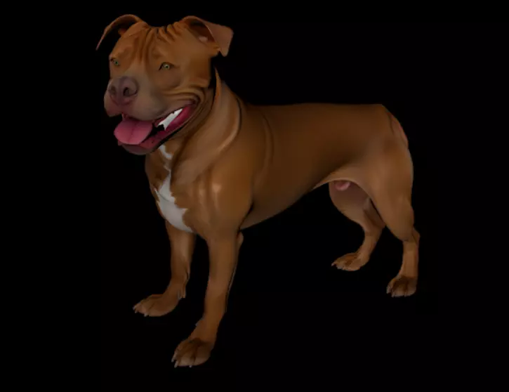 Pitbull 3D Model High Quality Realistic Dog 3D model_3