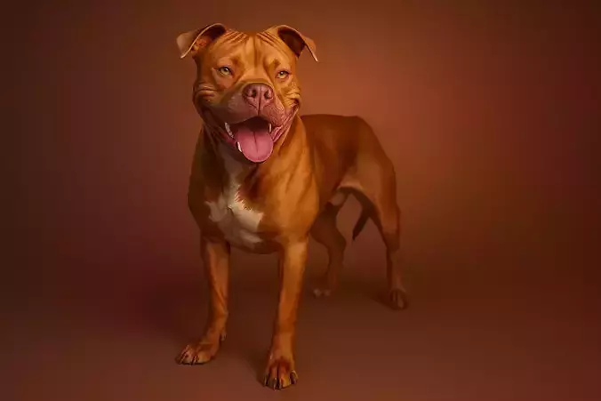 Pitbull 3D Model High Quality Realistic Dog