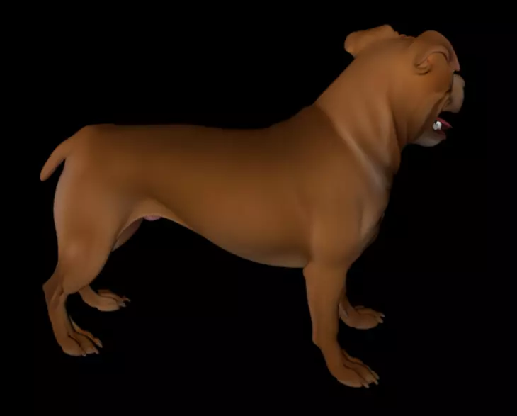 Pitbull 3D Model High Quality Realistic Dog 3D model_5
