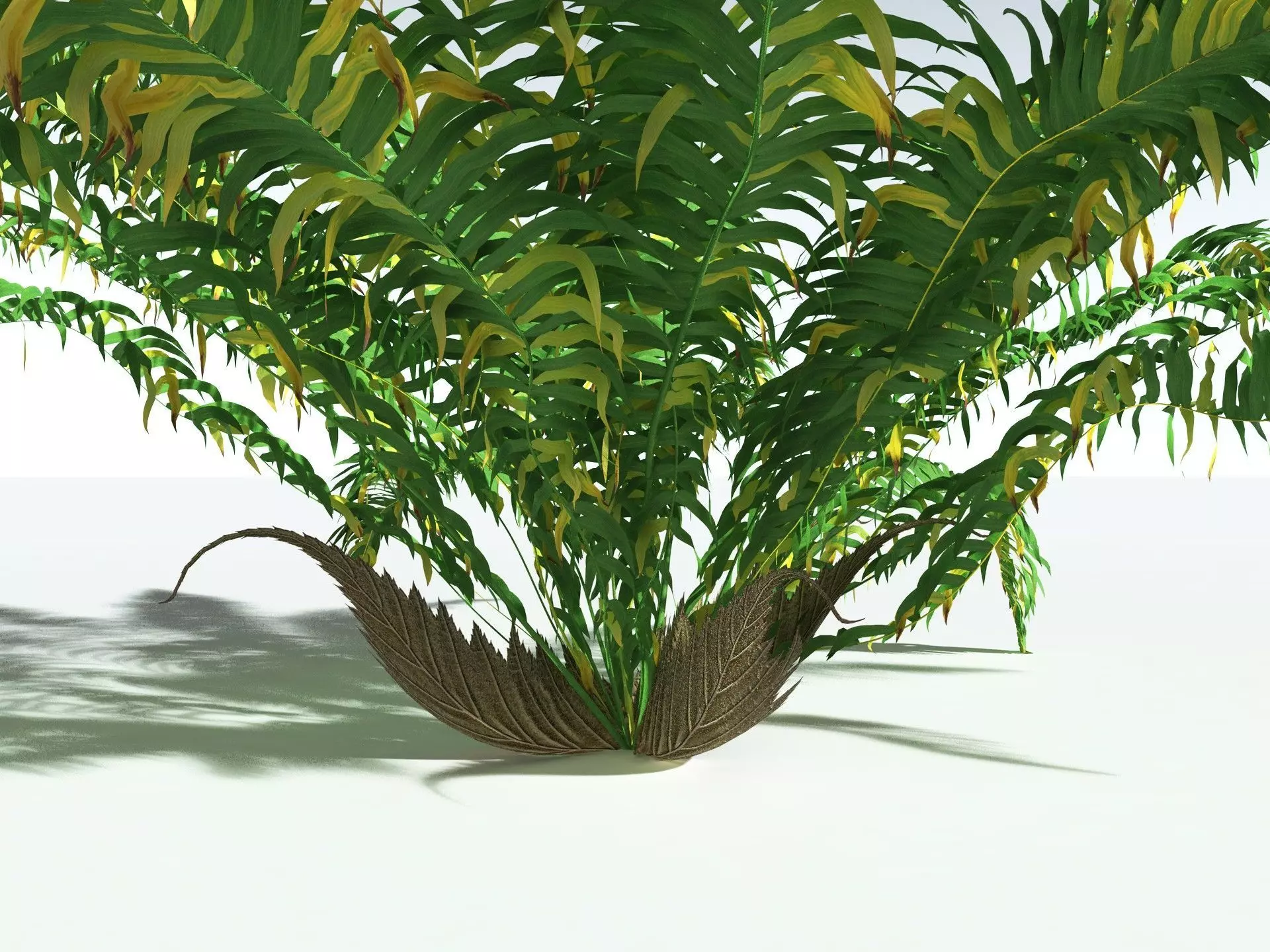 EVERYPlant Basket Fern 3D model_13