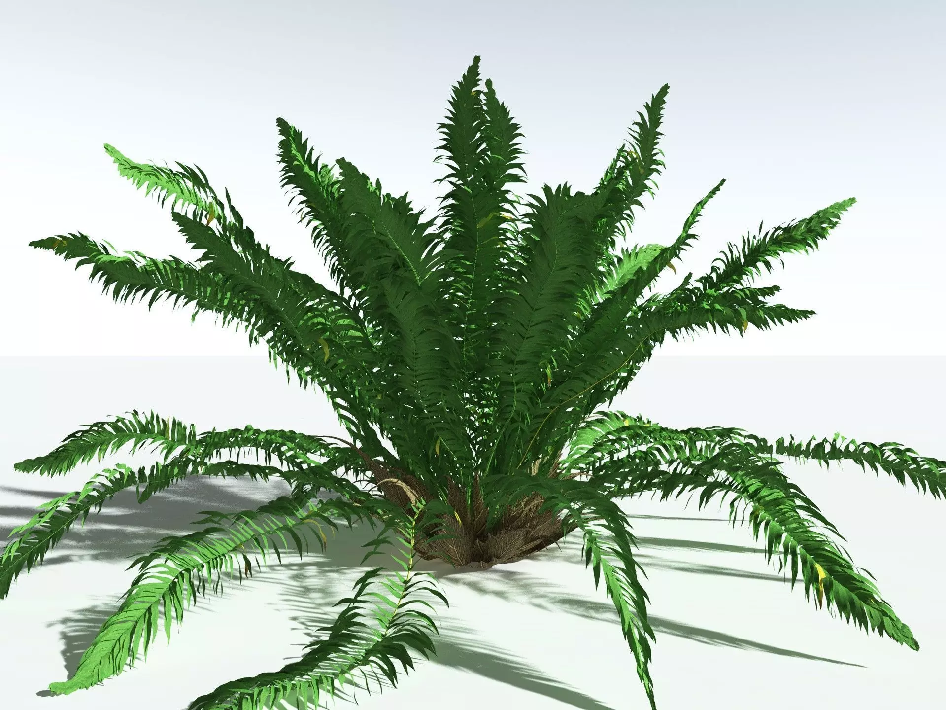EVERYPlant Basket Fern 3D model_20