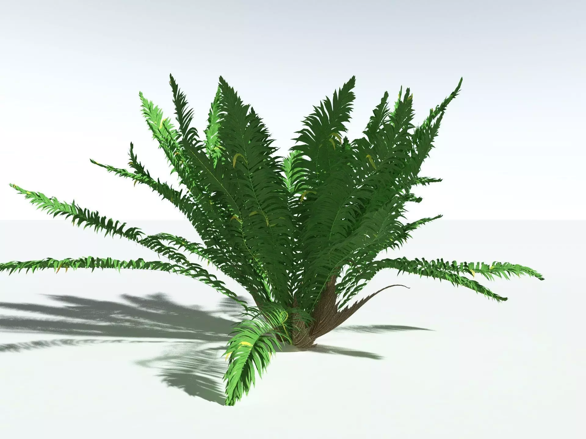 EVERYPlant Basket Fern 3D model_25