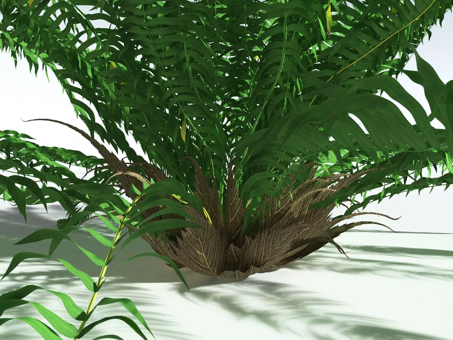 EVERYPlant Basket Fern 3D model_21