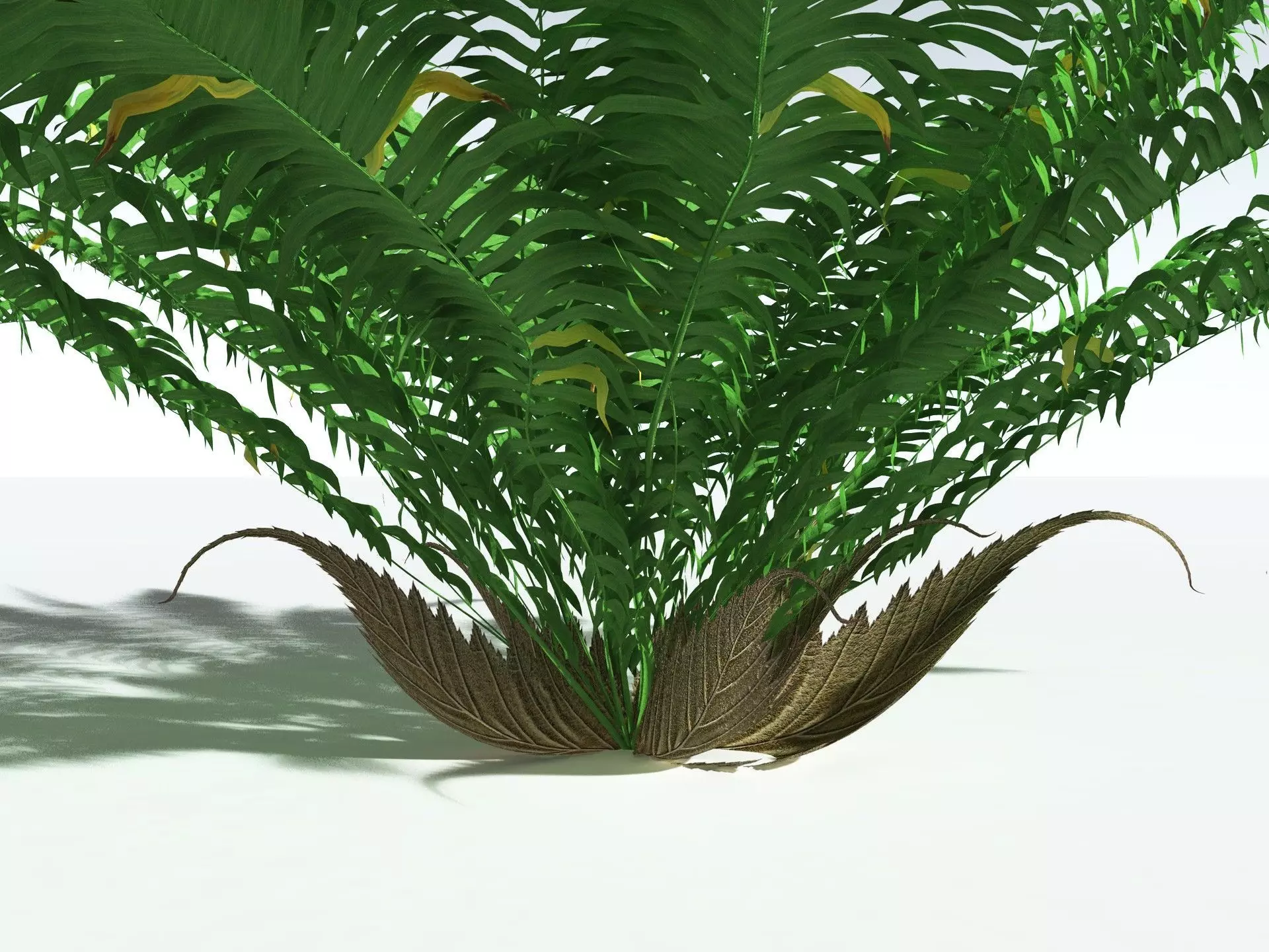 EVERYPlant Basket Fern 3D model_3
