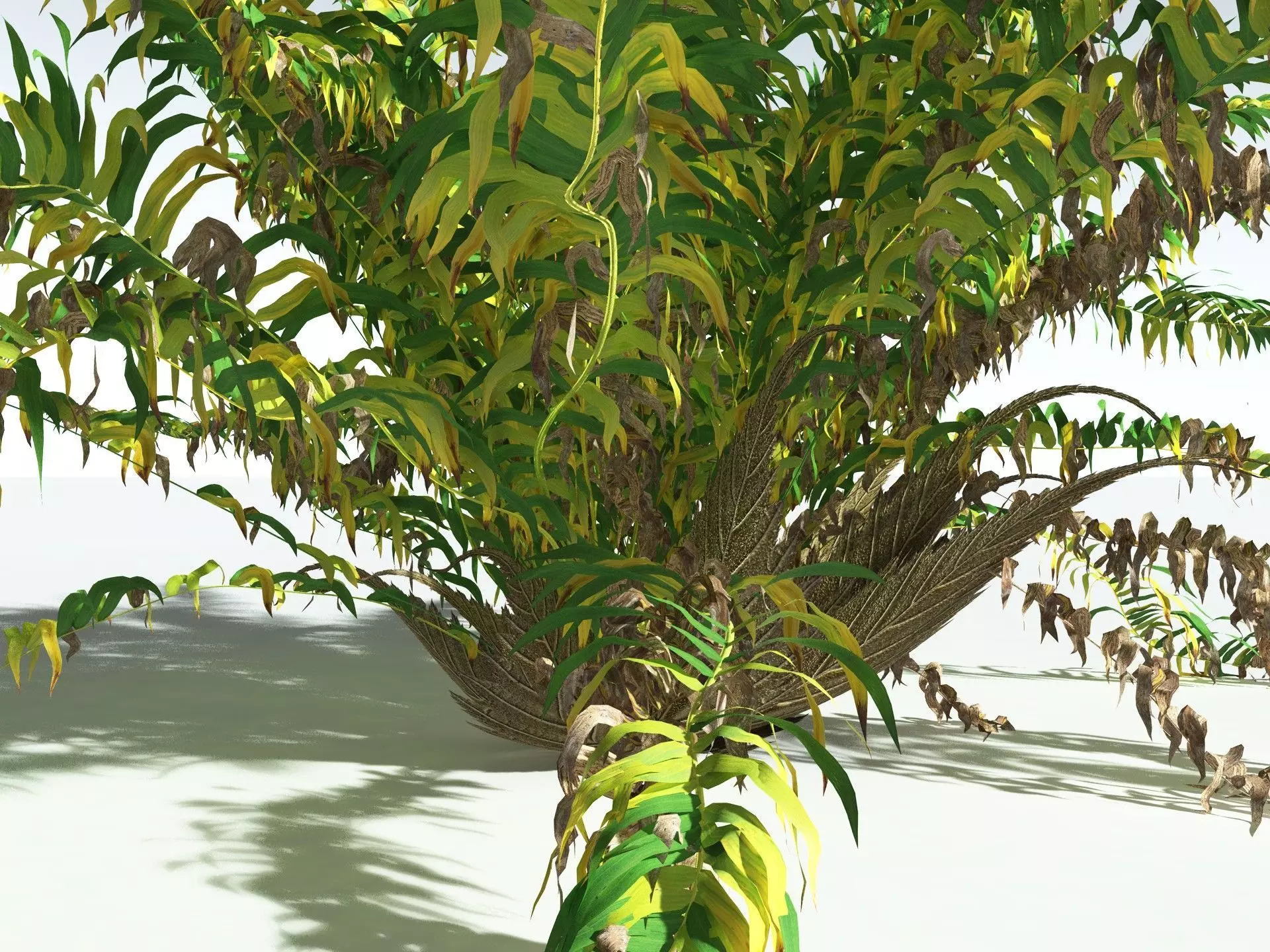 EVERYPlant Basket Fern 3D model_15