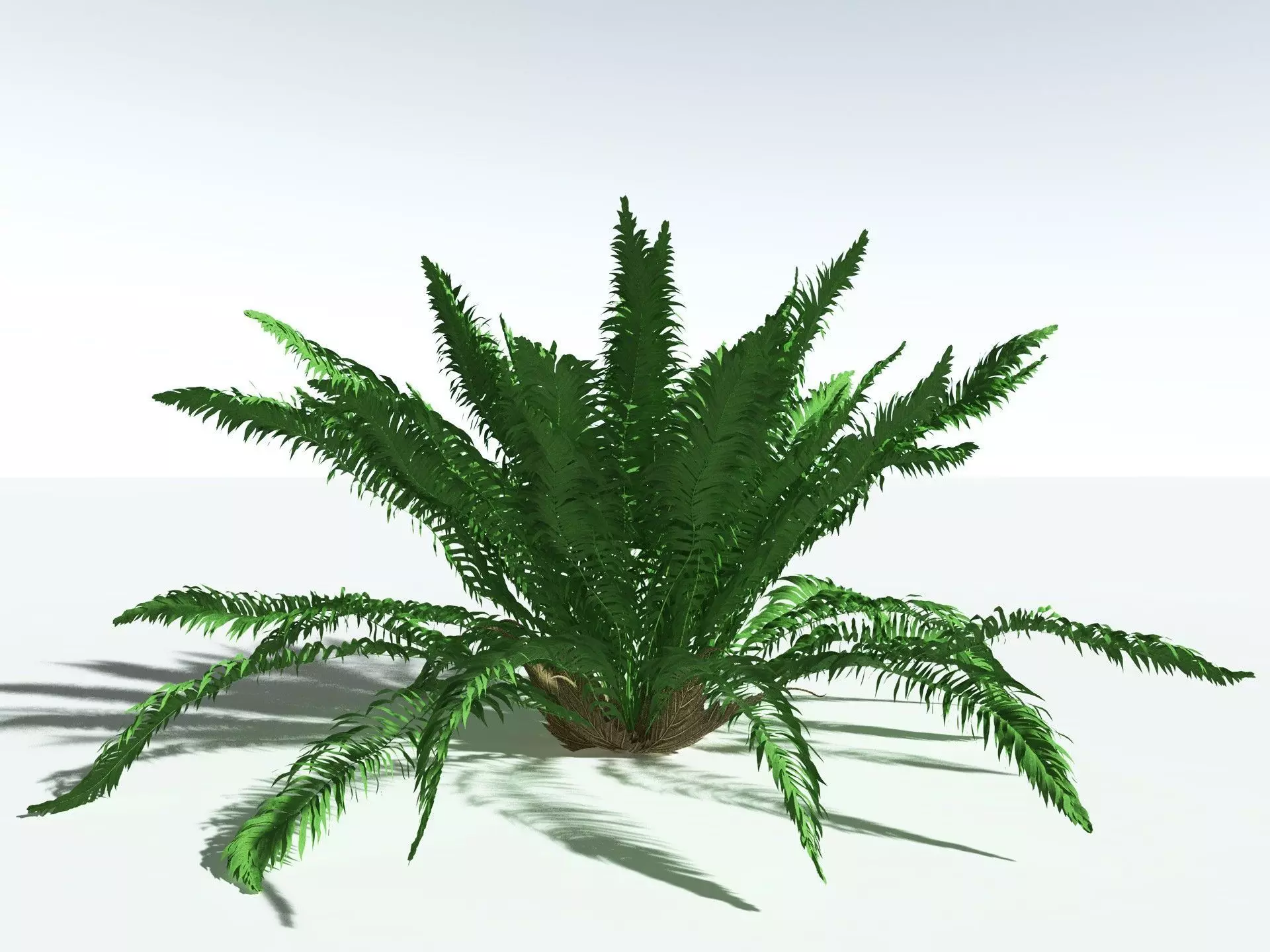 EVERYPlant Basket Fern 3D model_10