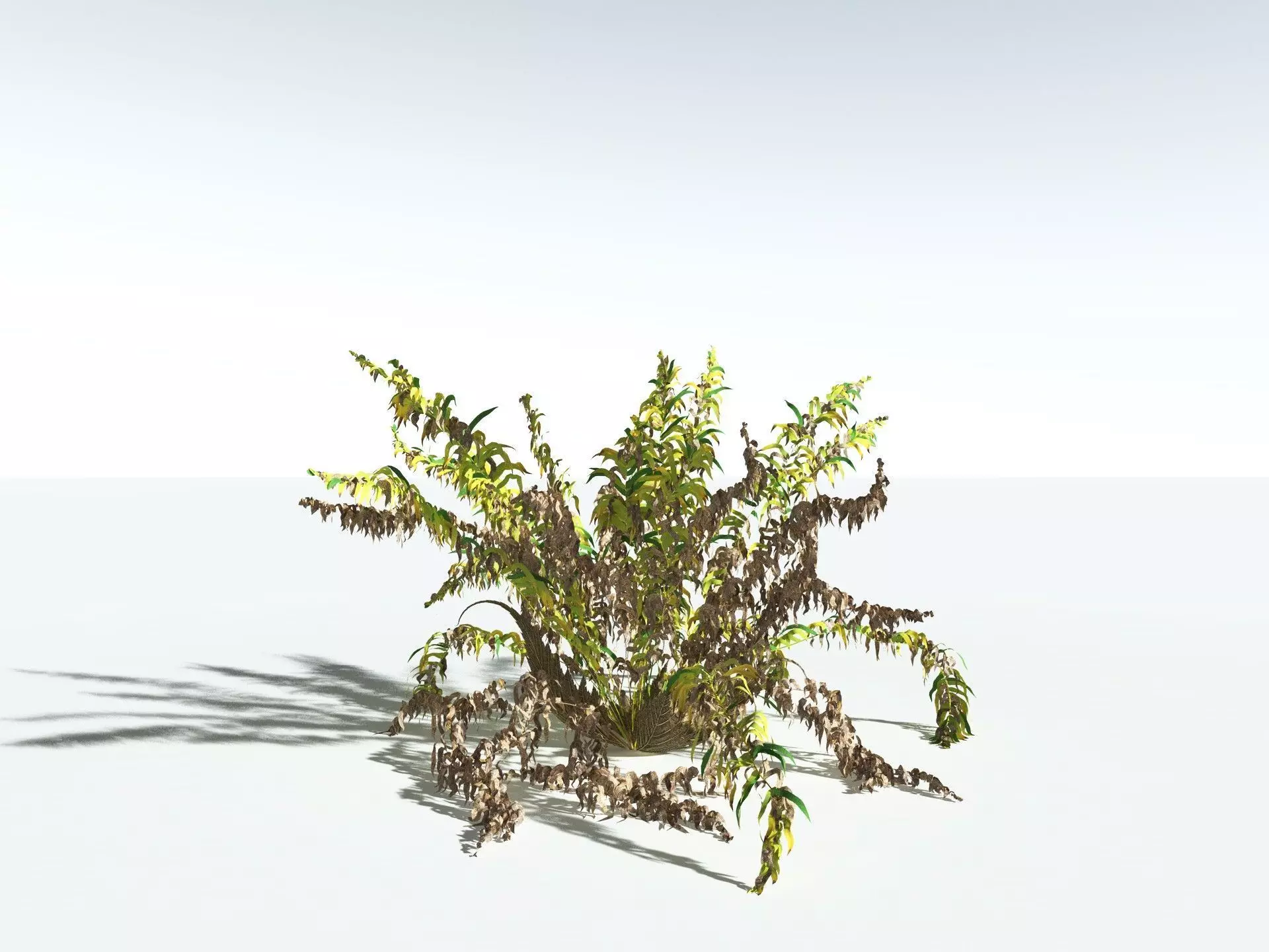 EVERYPlant Basket Fern 3D model_16