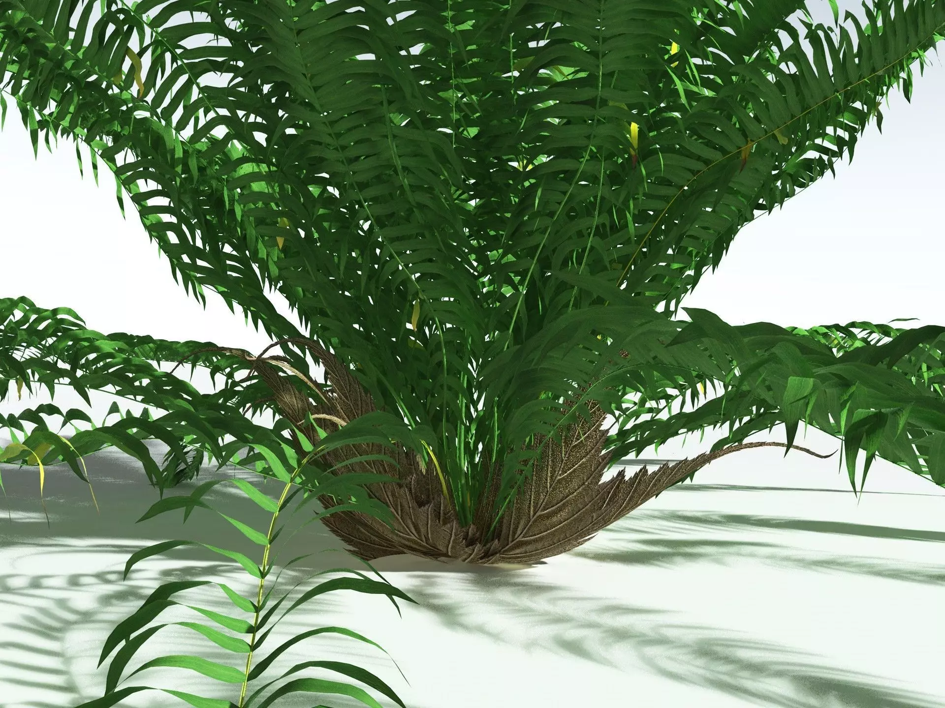 EVERYPlant Basket Fern 3D model_1