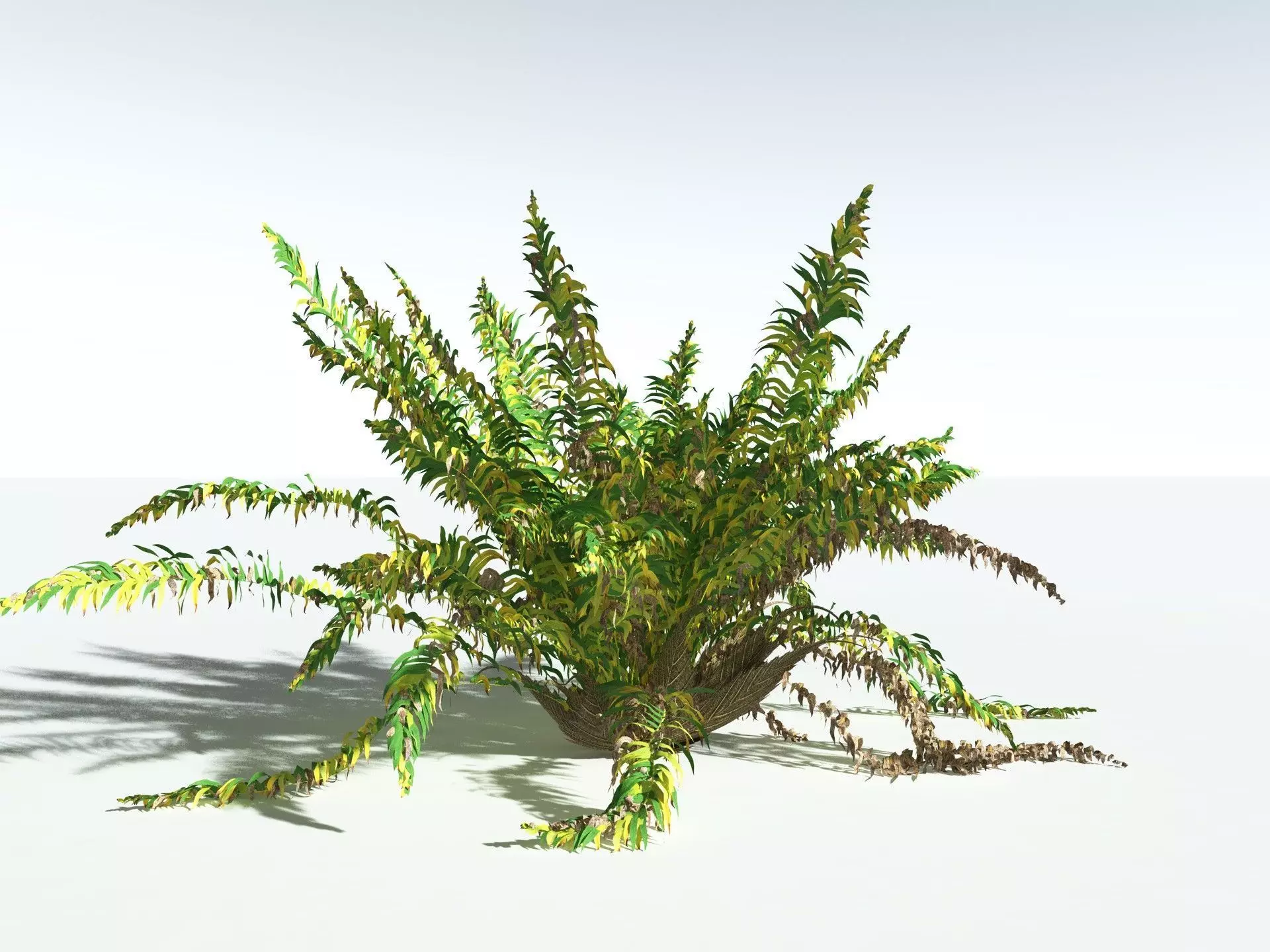 EVERYPlant Basket Fern 3D model_14