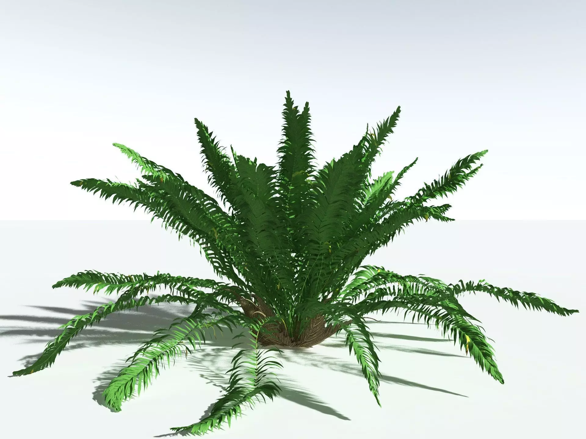 EVERYPlant Basket Fern 3D model_0