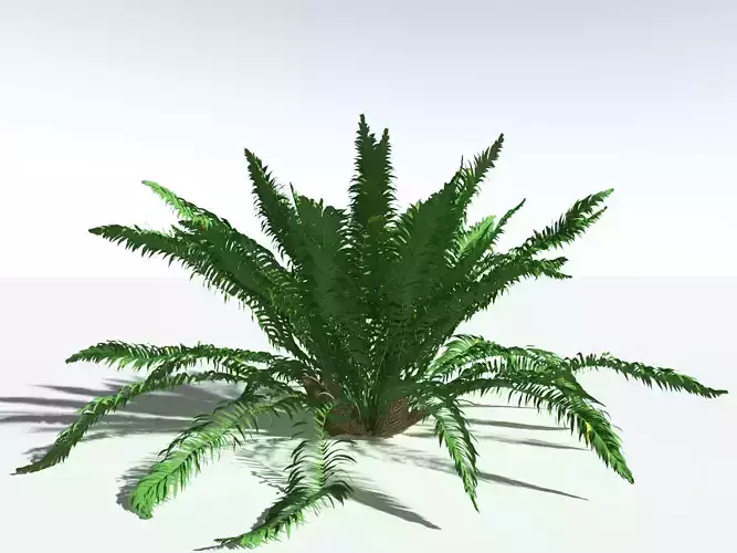 EVERYPlant Basket Fern 3D model