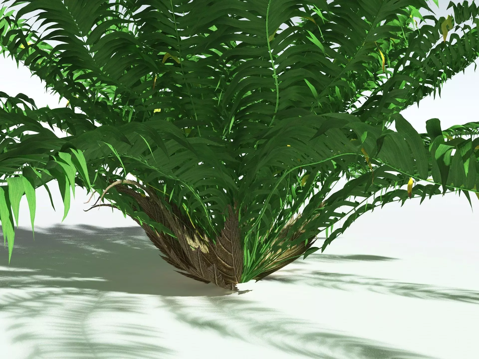 EVERYPlant Basket Fern 3D model_9