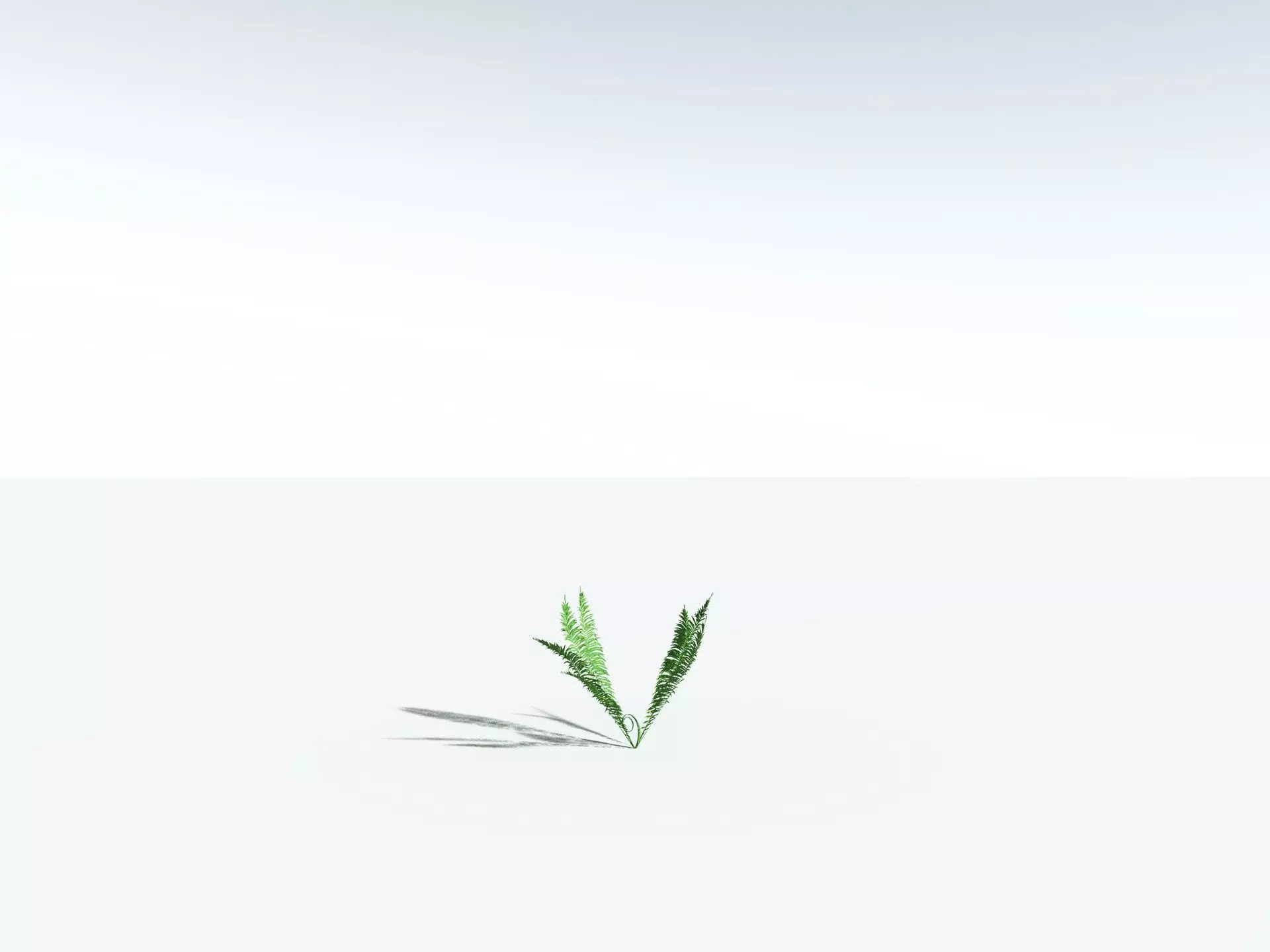 EVERYPlant Basket Fern 3D model_26