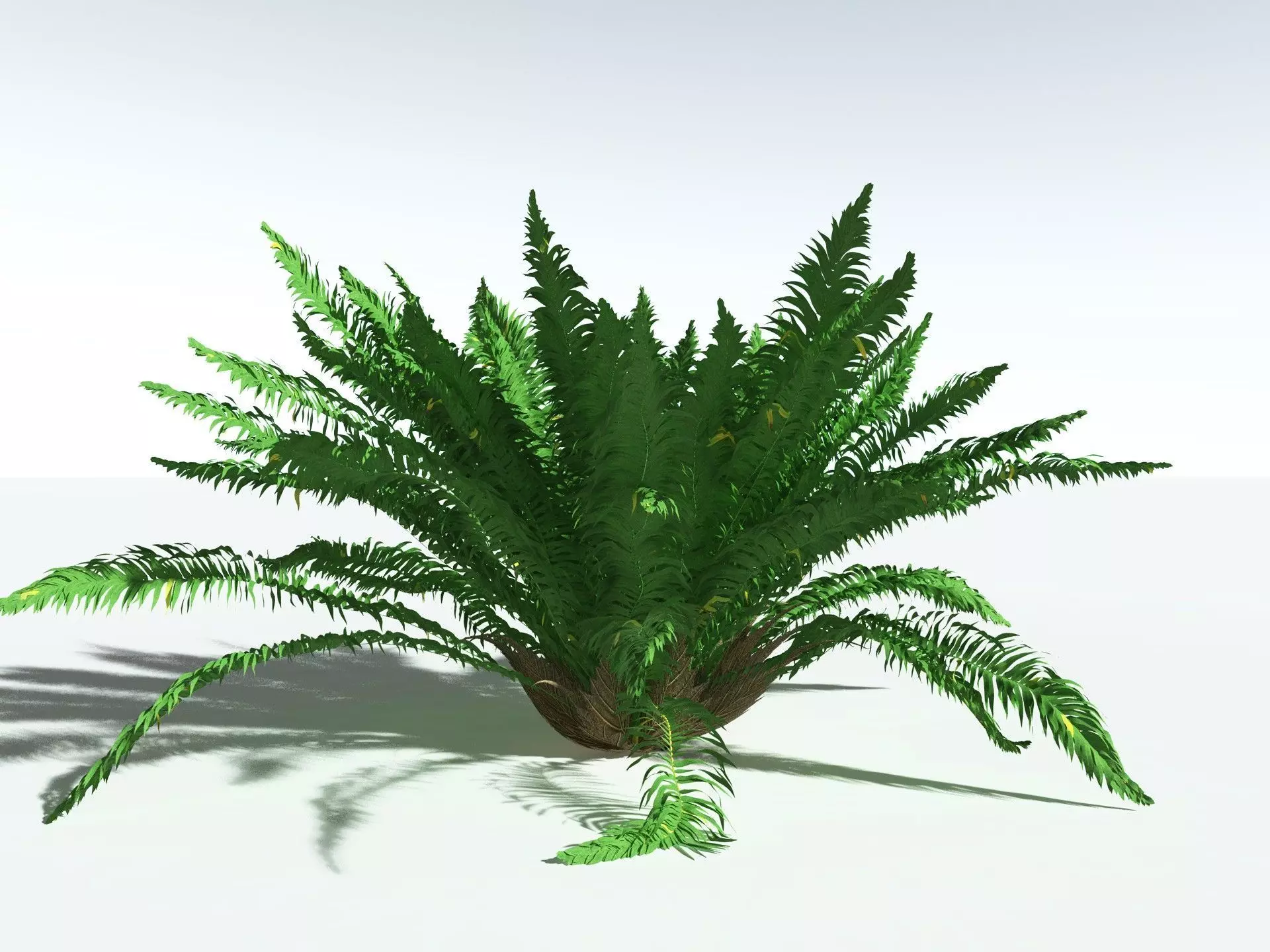 EVERYPlant Basket Fern 3D model_4